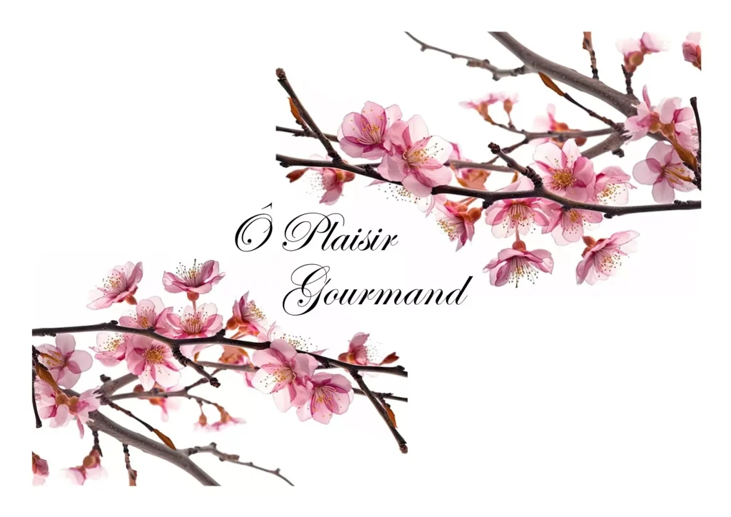 logo-o-plaisir-gourmand